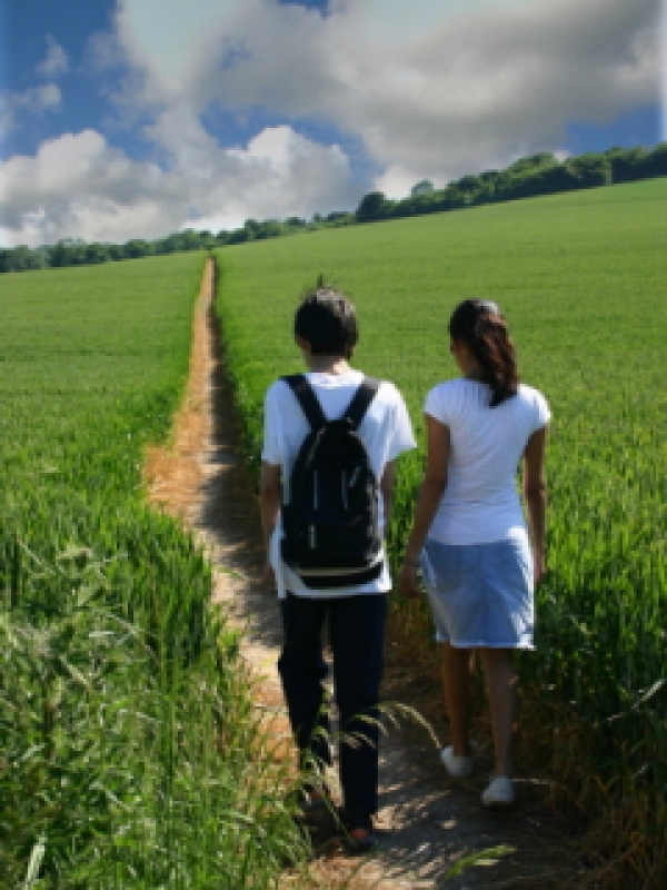 Universities and local authorities – working together for “rural” people and places? 