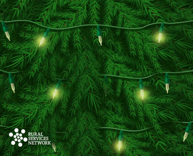 Rural Services Network: Our Year In Review
