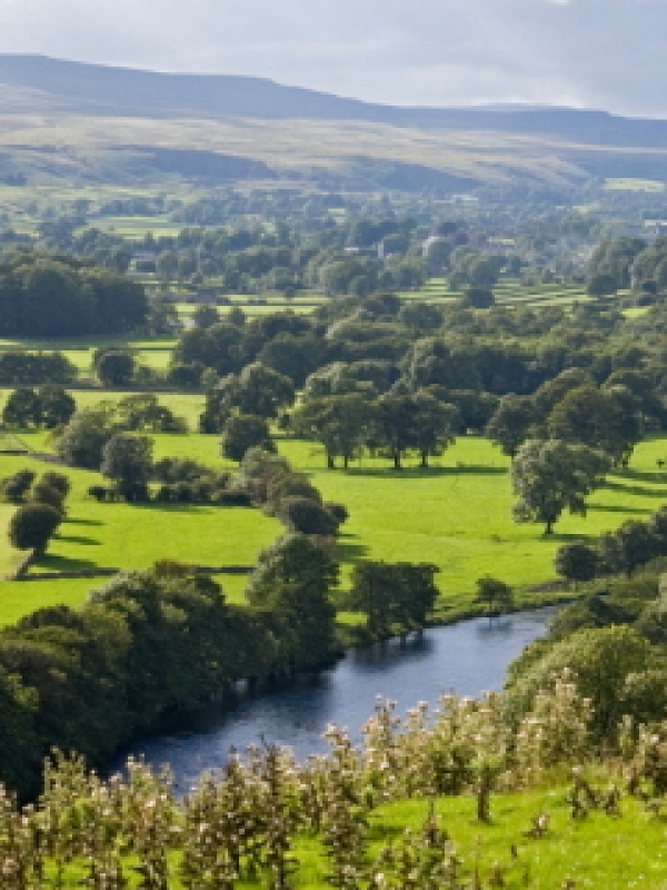 What role for local authorities managing the natural environment?