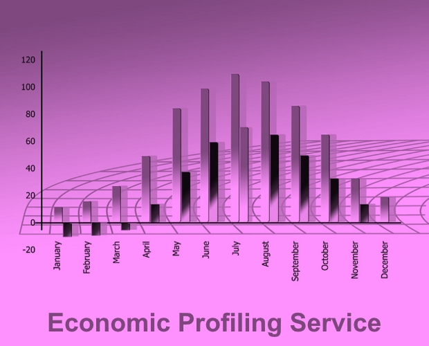 RSN Economic Profiling Service – June 2021