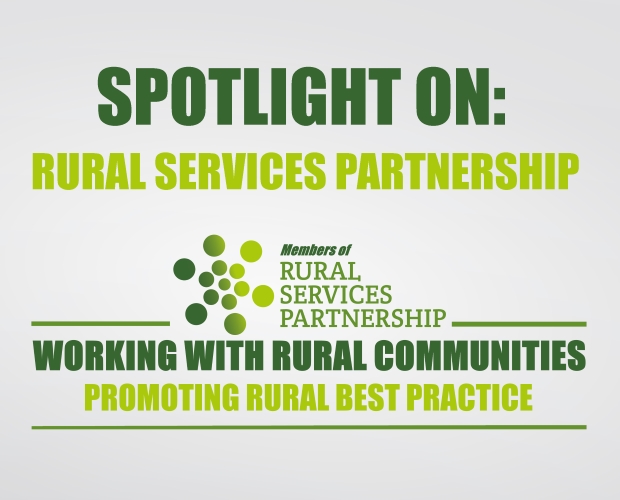 Spotlight on the RSP – November 19 Edition