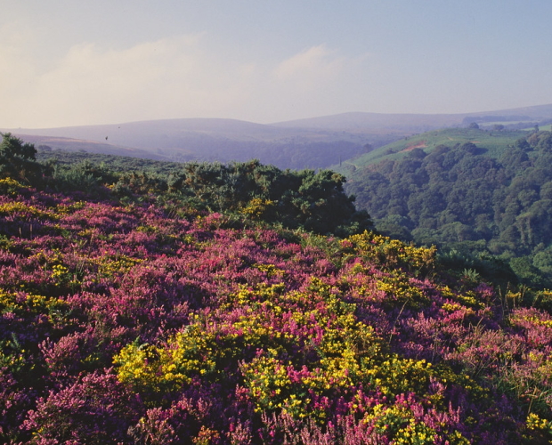 Rural communities ‘strangled’ by holiday let surge