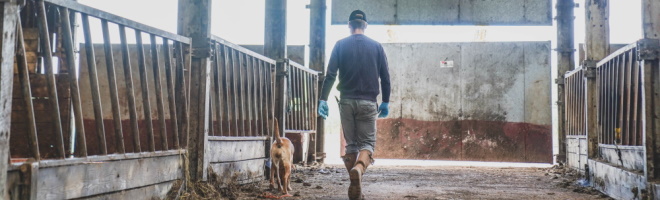 Survey uncovers rural isolation/loneliness