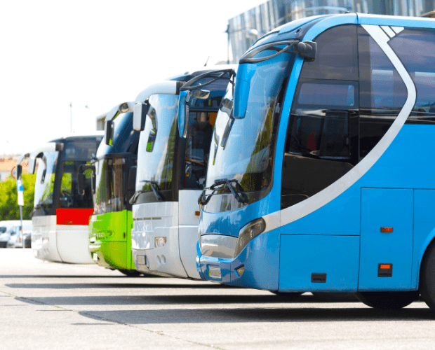 MPs Back Bus Reform Bill in Commons Vote