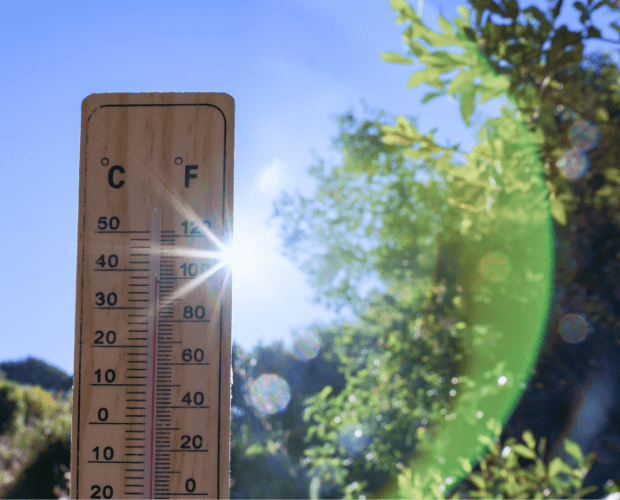 RCN Calls For NHS Buildings To Be “Heat-Proofed”