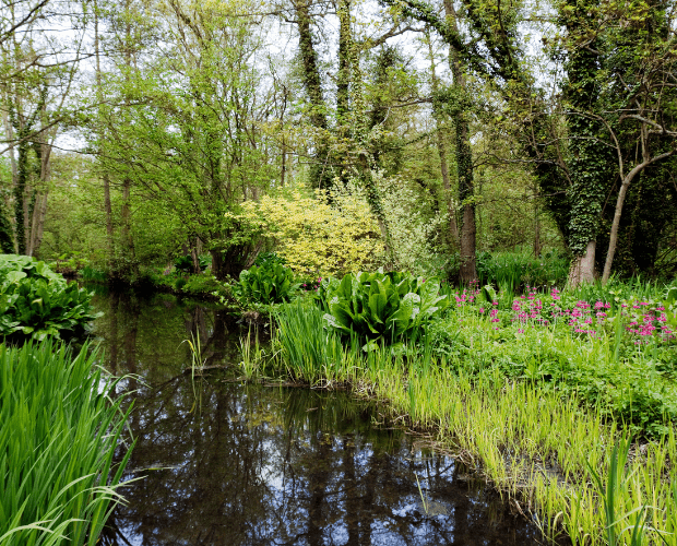 Norfolk Plan Links New Homes With Nature Recovery